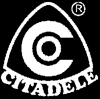Profesionālo Studiju Skola Citadele ® logo 2